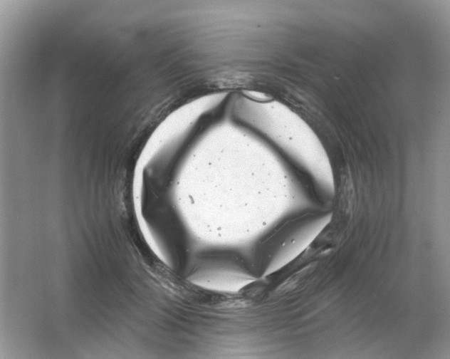 X0000063500604200602172121