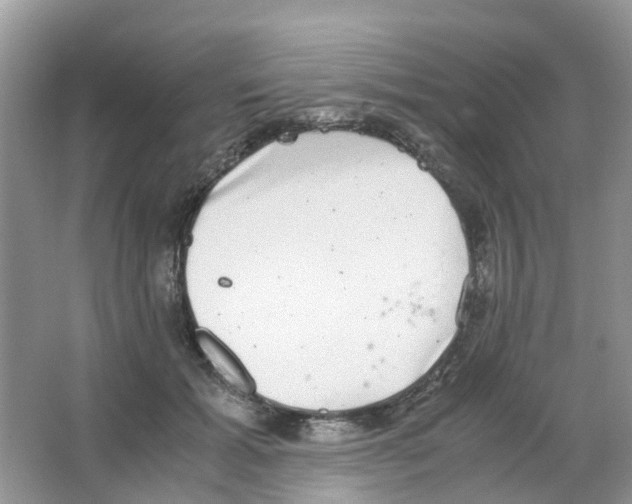 X0000063500605200602172121