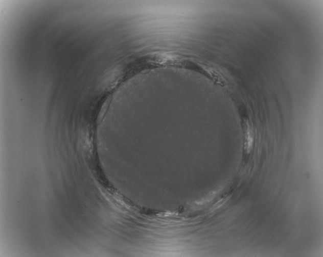 X0000063500607200602172121