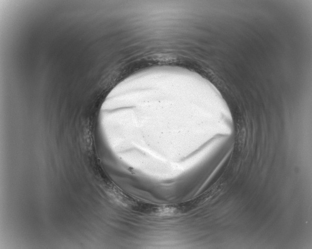 X0000063500609200602172121