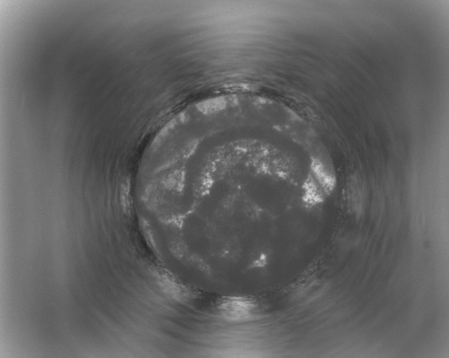 X0000063500610200602172121