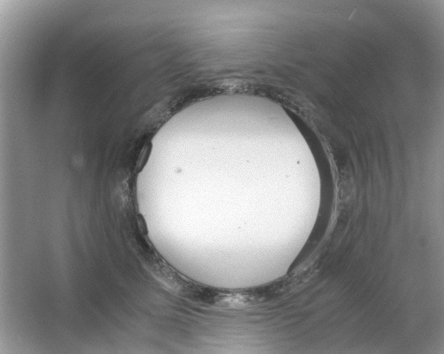 X0000063500611200602172121