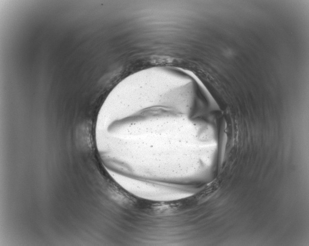 X0000063500616200602172121