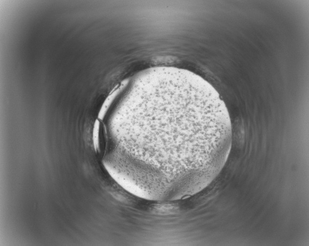 X0000063500619200602172121