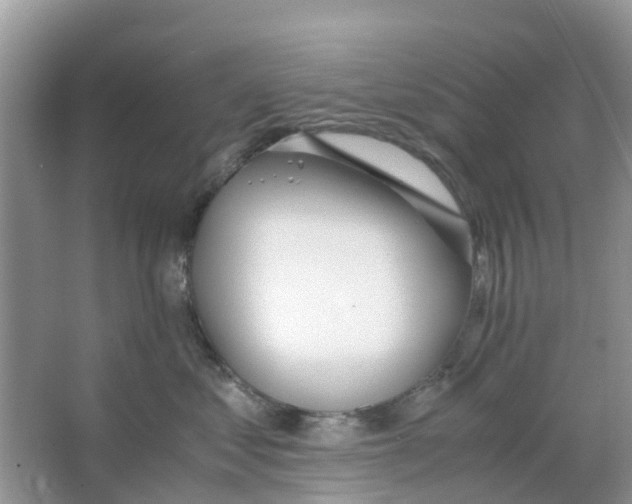 X0000063500621200602172120