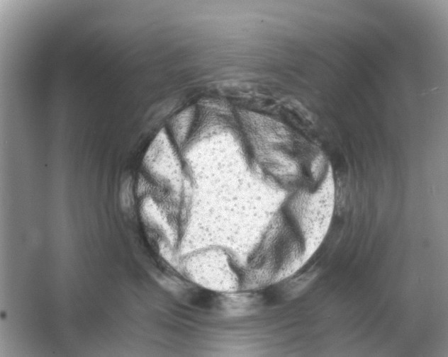 X0000063500623200602172120