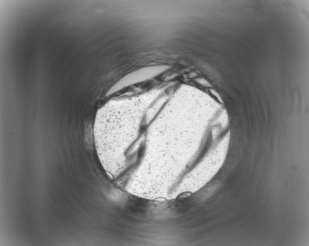 X0000063500624200602172120