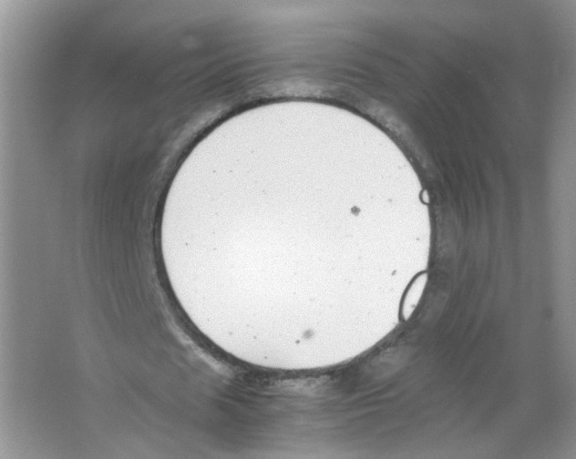 X0000063500625200602172120