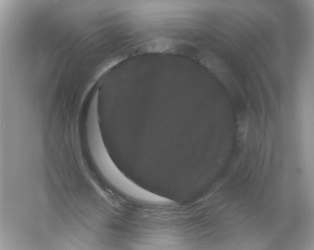 X0000063500626200602172120