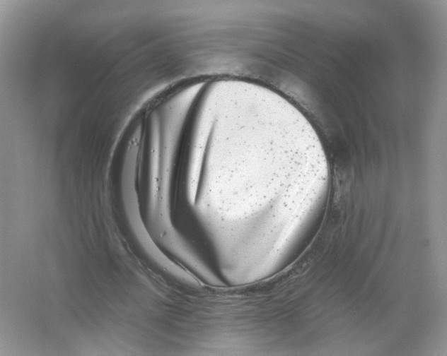 X0000063500628200602172120