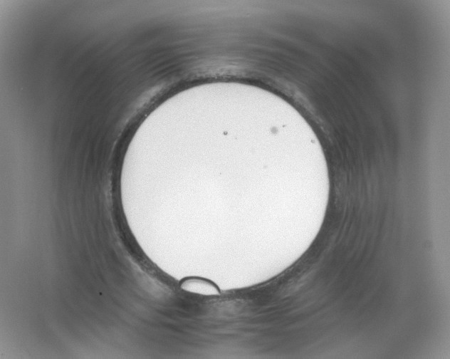 X0000063500629200602172120