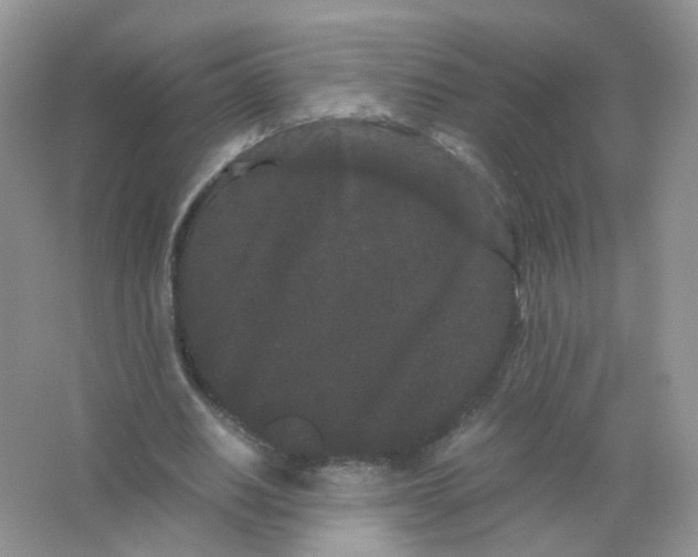 X0000063500630200602172120