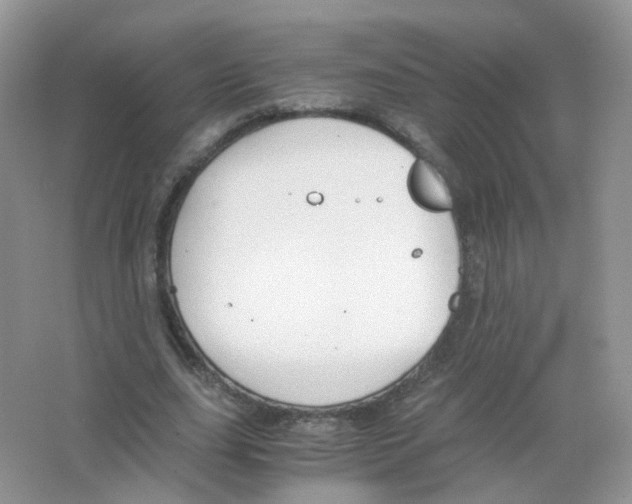 X0000063500631200602172120