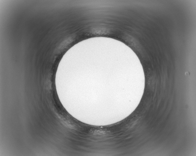 X0000063500635200602172120