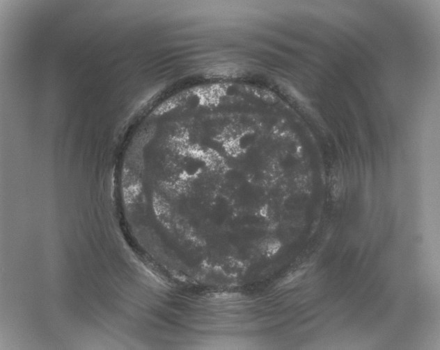 X0000063500637200602172120