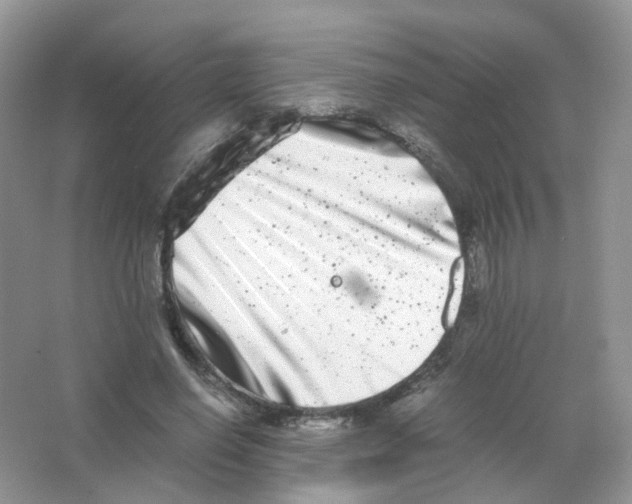 X0000063500638200602172120