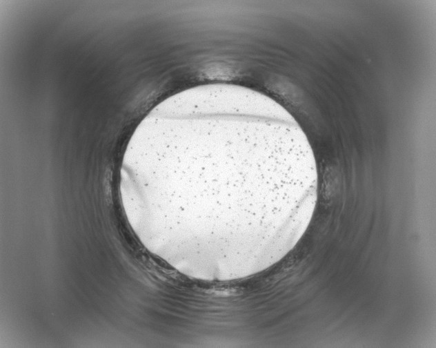 X0000063500639200602172120