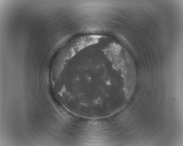 X0000063500640200602172120