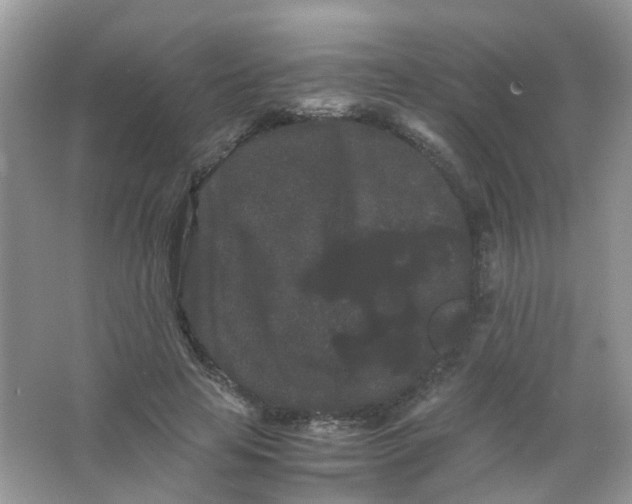 X0000063500641200602172120