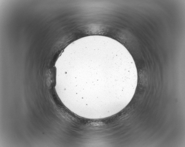 X0000063500642200602172120