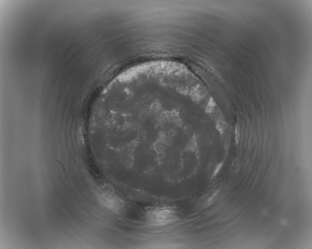 X0000063500643200602172120