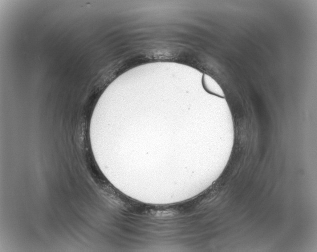 X0000063500645200602172120