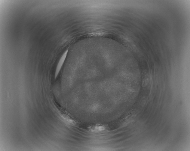 X0000063500647200602172120