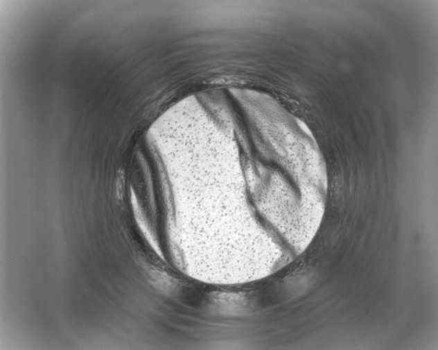 X0000063500649200602172120