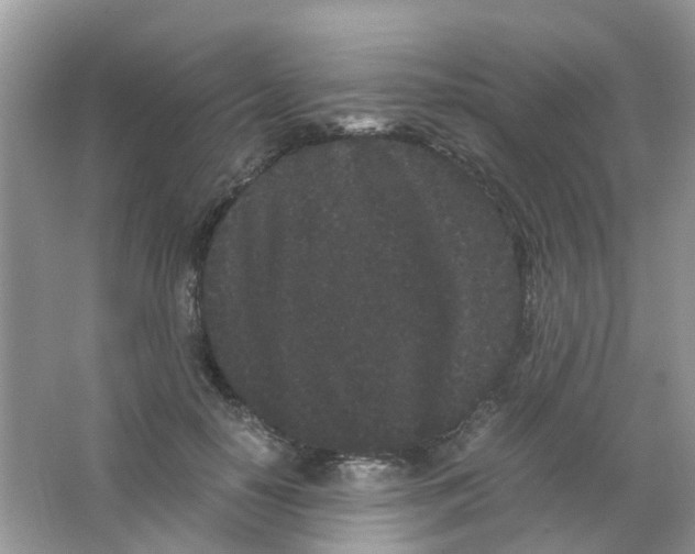 X0000063500650200602172120