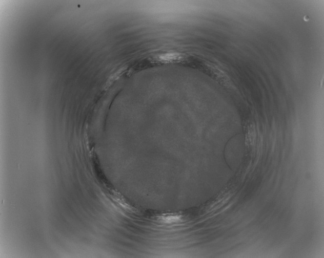 X0000063500651200602172120