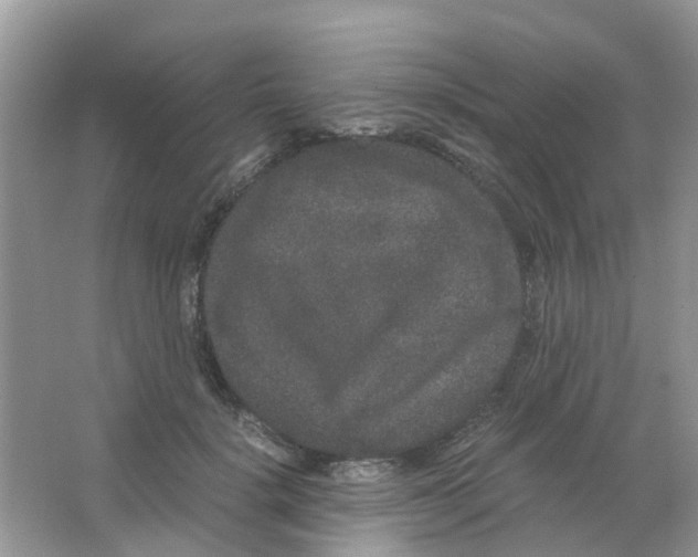 X0000063500652200602172120