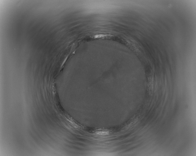 X0000063500653200602172120