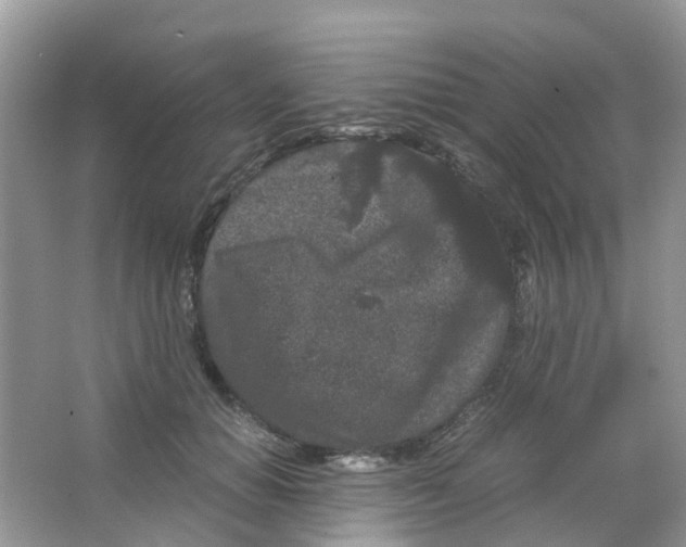 X0000063500654200602172120