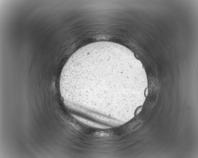 X0000063500655200602172120