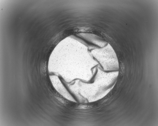 X0000063500657200602172120