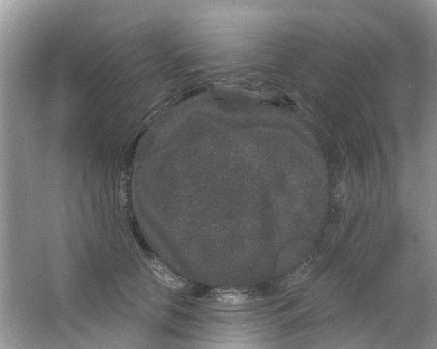 X0000063500658200602172120