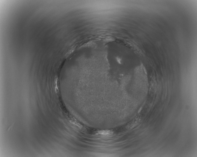 X0000063500659200602172120