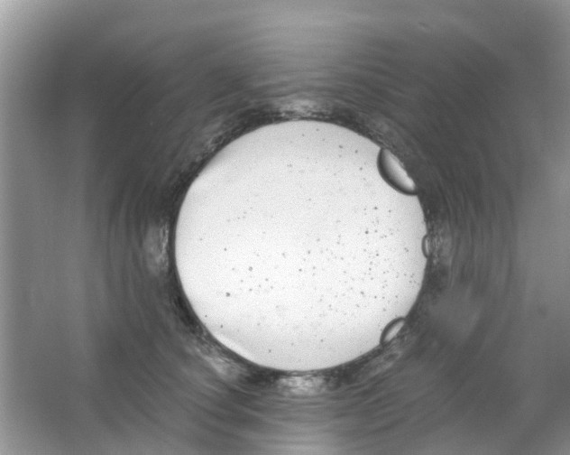 X0000063500660200602172120