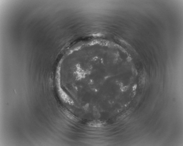 X0000063500661200602172120