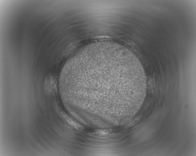 X0000063500662200602172120