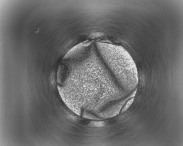 X0000063500665200602172120