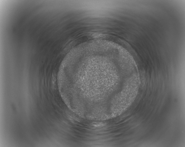 X0000063500667200602172120