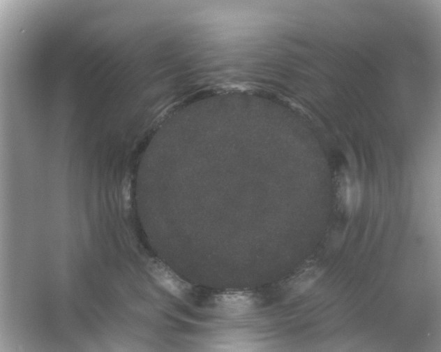 X0000063500668200602172120