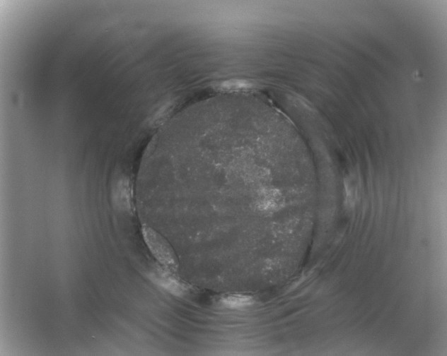 X0000063500669200602172120