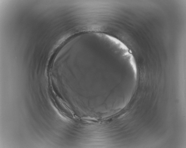 X0000063500674200602172120