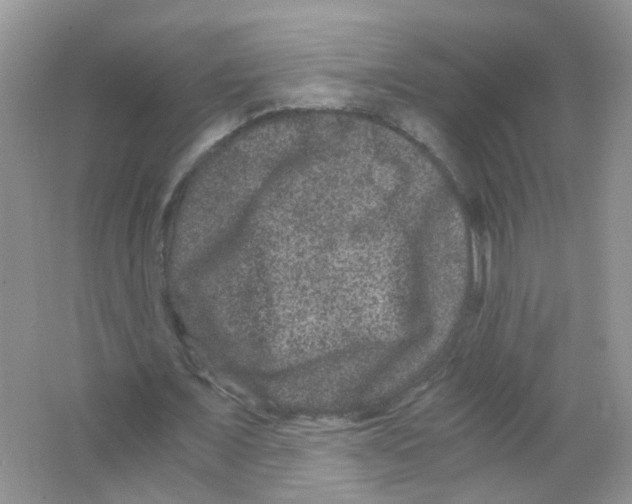 X0000063500675200602172120