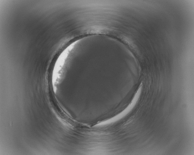 X0000063500678200602172119