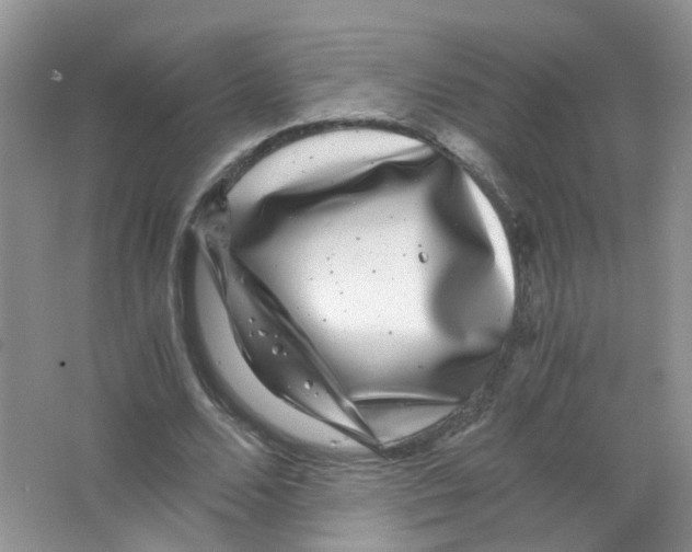 X0000063500680200602172119