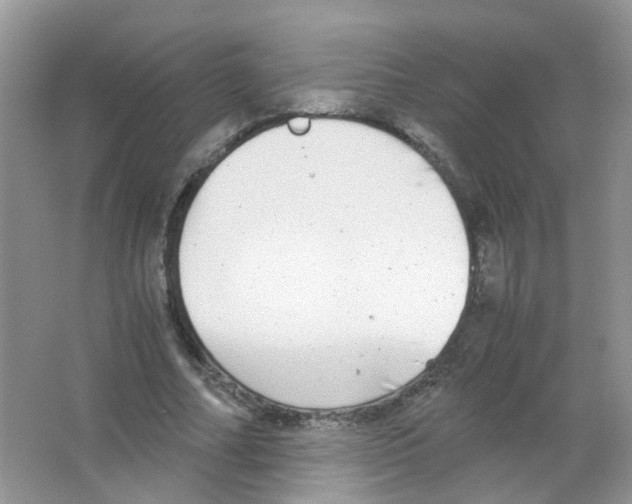 X0000063500682200602172119