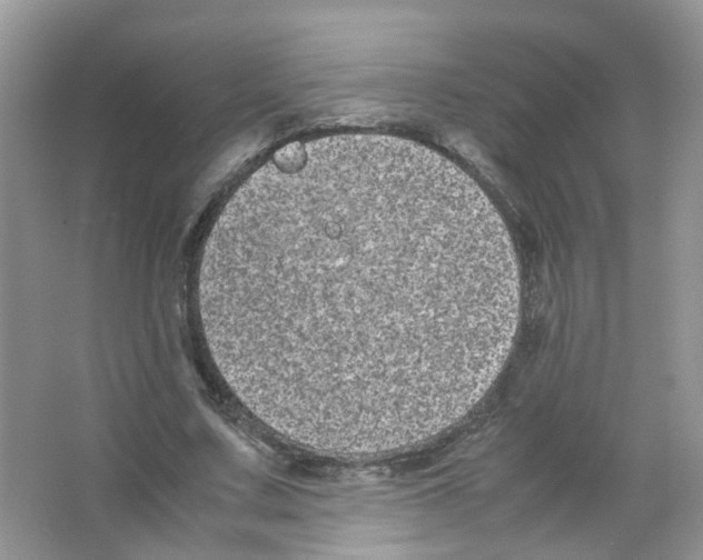 X0000063500683200602172119